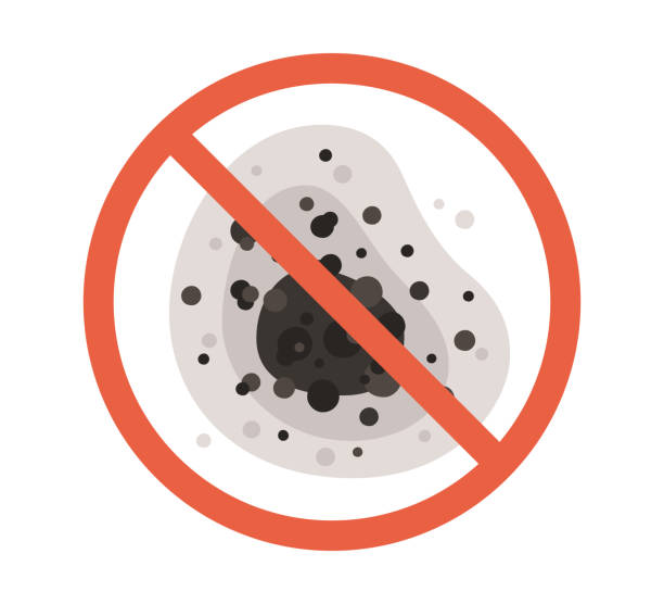 Trusted Drain, OR Mold Removal Experts