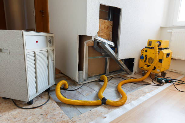 Mold Odor Removal Services in Drain, OR